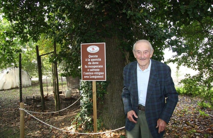 Antonio Longanesi