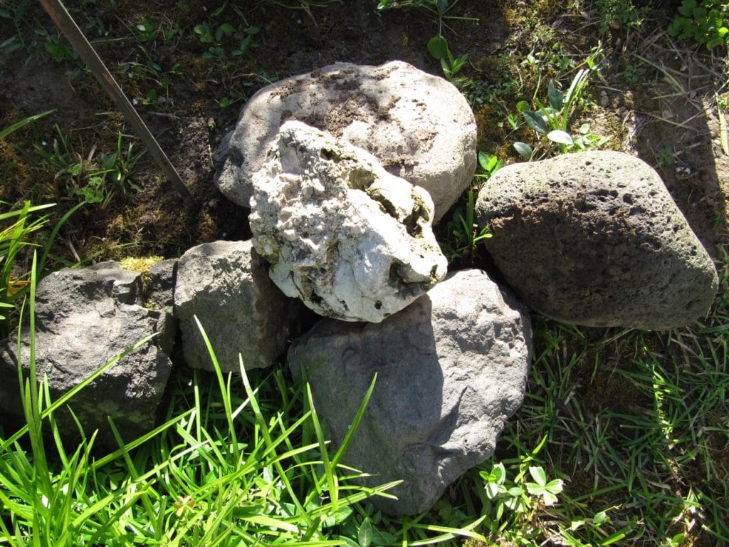 Diversi esempi di rocce vulcaniche e calcare